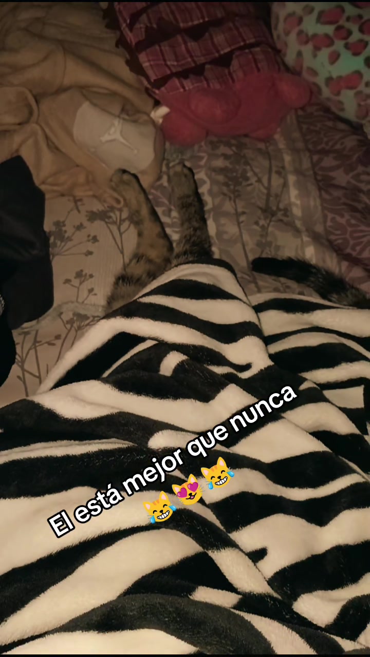@Lucía๐๐ป.