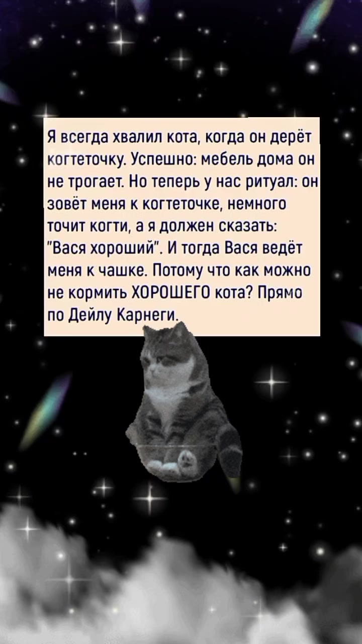 @๐๐๐ช๐ฝ๐ฝ๐ฝ๐ฒ ๐