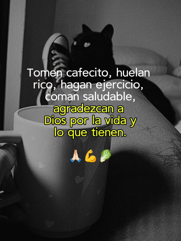 @Mejía_Klau