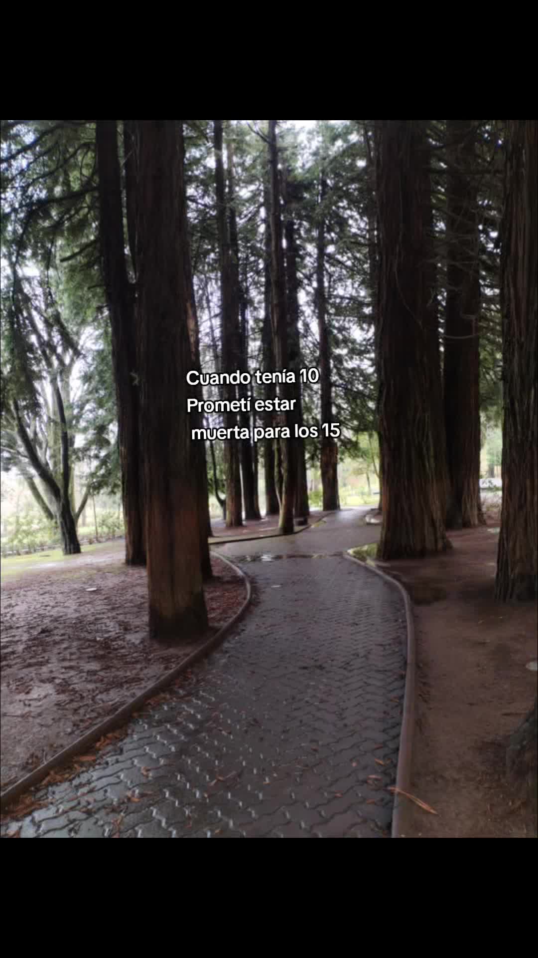 @.ೃ࿔*𝓘𝓼𝓲𝓭𝓸𝓻𝓪 .ೃ࿔*