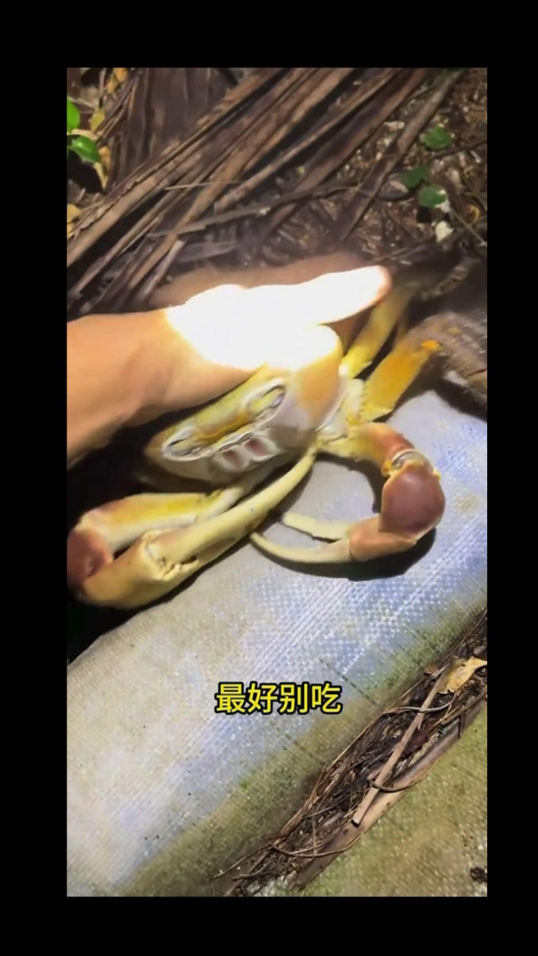@沧海一粟3