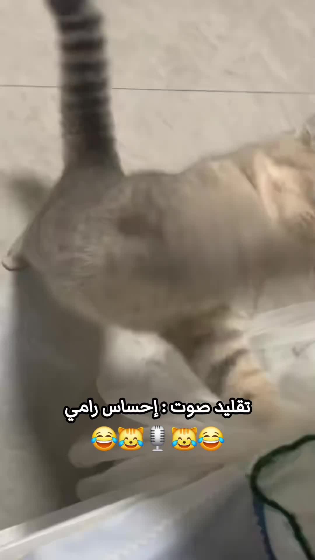 @إحساس رامي