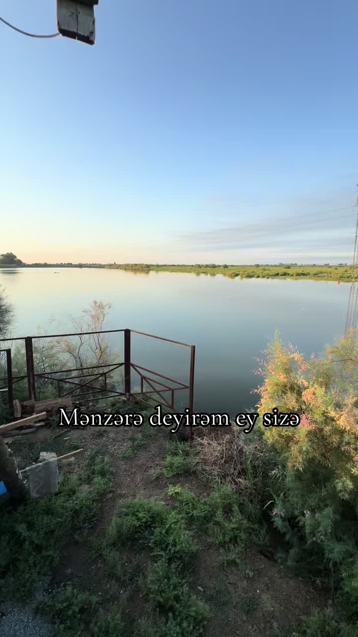 @Mingeçevir Atları