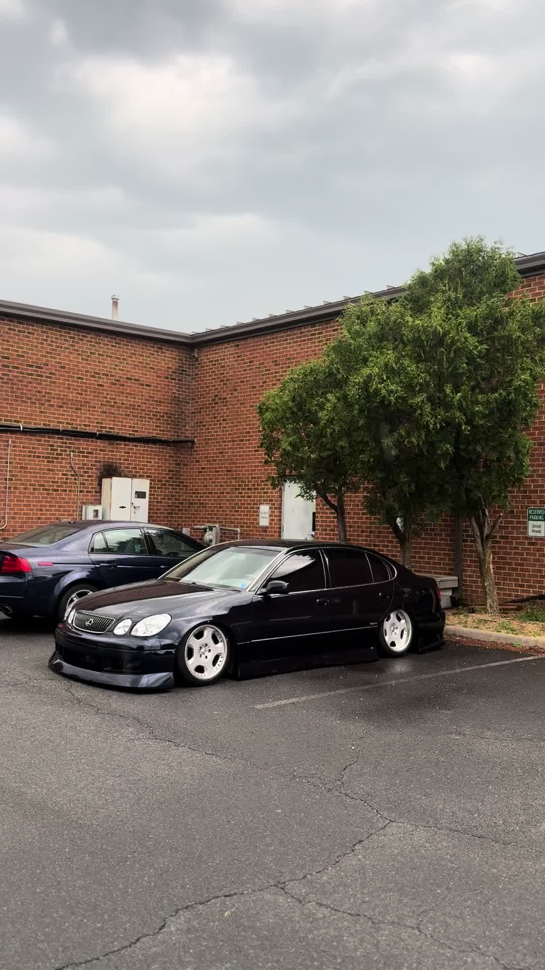 @gs3.tommy