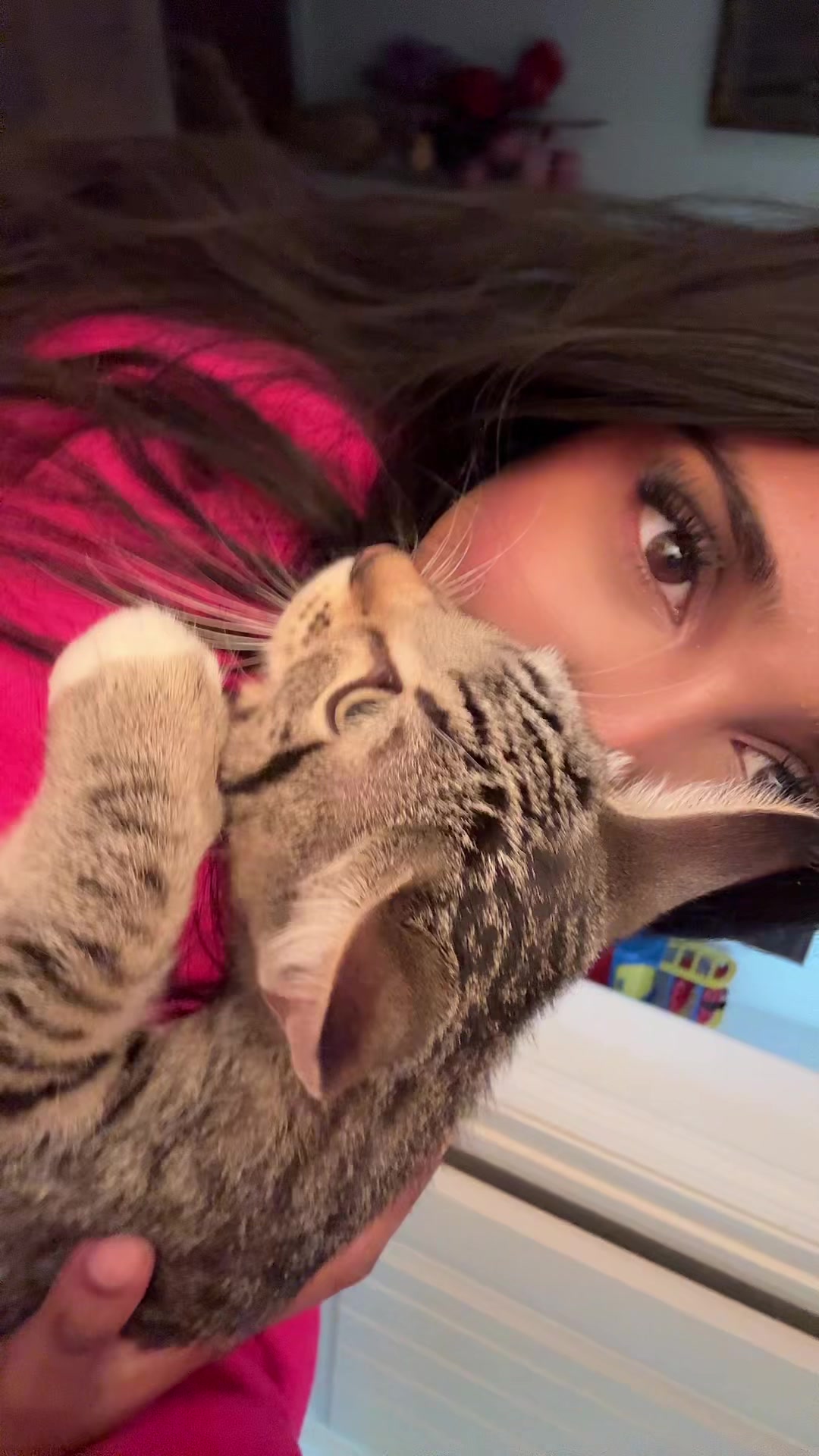 @mirnayasasi
