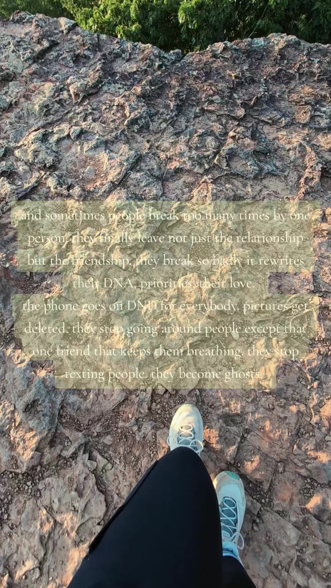 @🏕️Wandering Wildflower🏵️