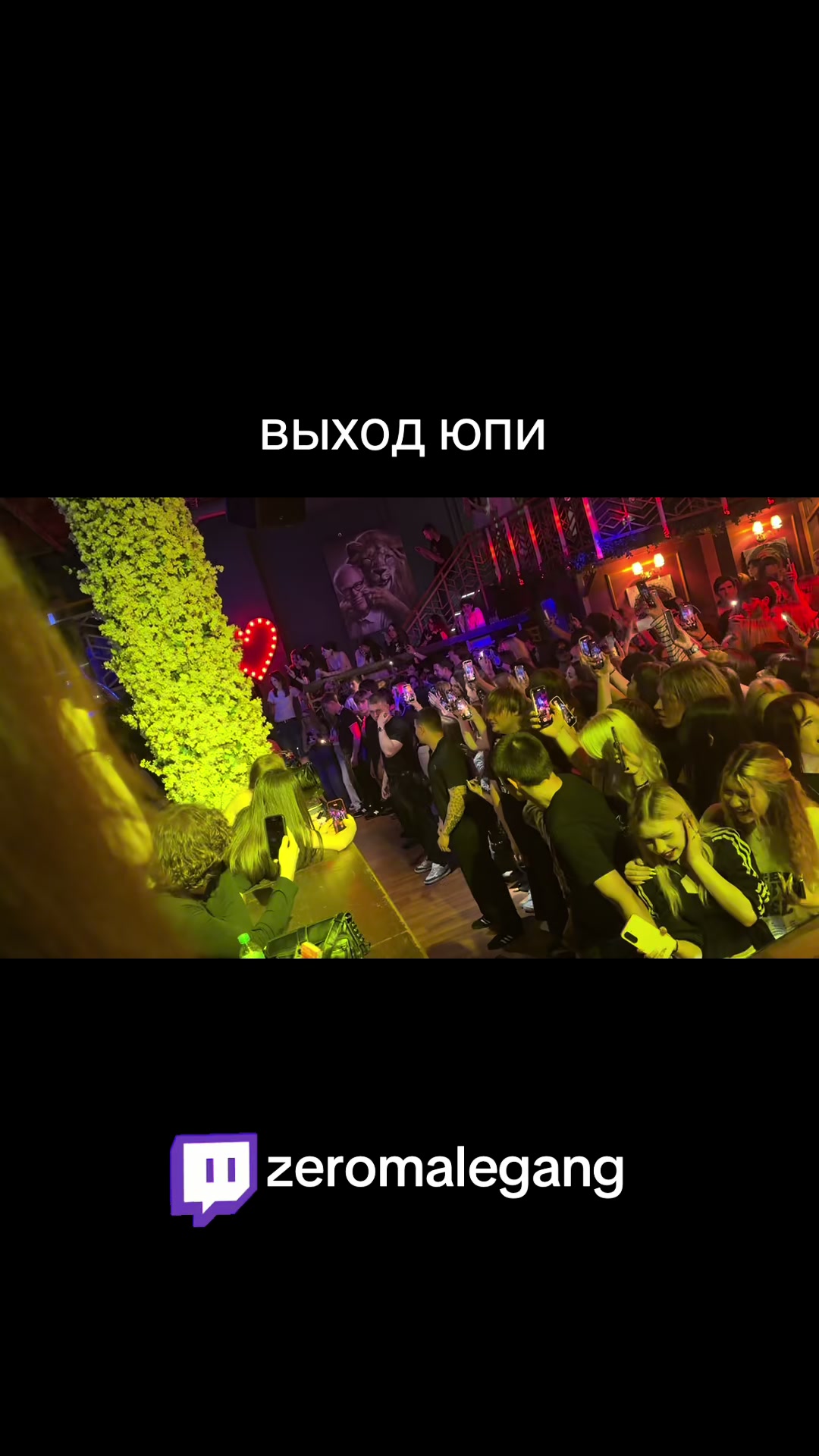@ТКГ: zeromelegang