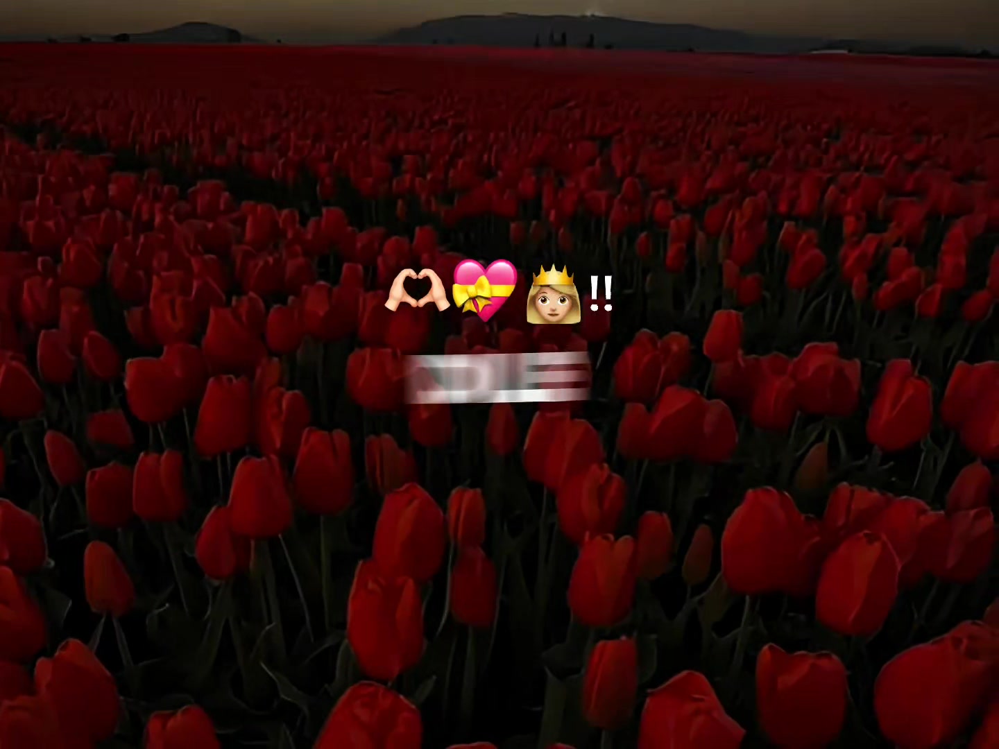 @๐๐ก๐ค๐ฌ๐๐ง๐จ ๐๐ช๐จ๐๐โค๏ธ๐ฉน