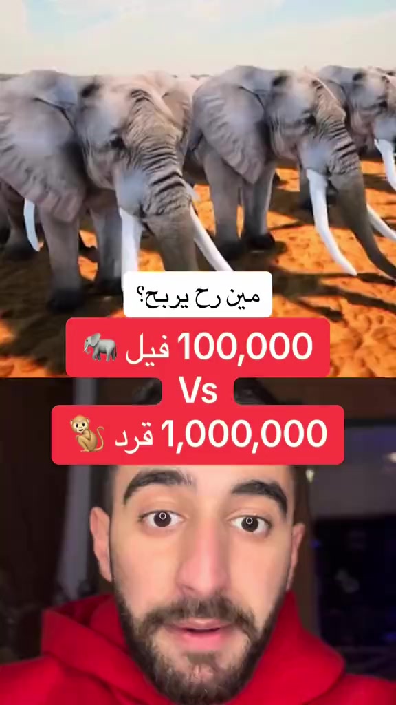 @Mahmoud Baghdadi