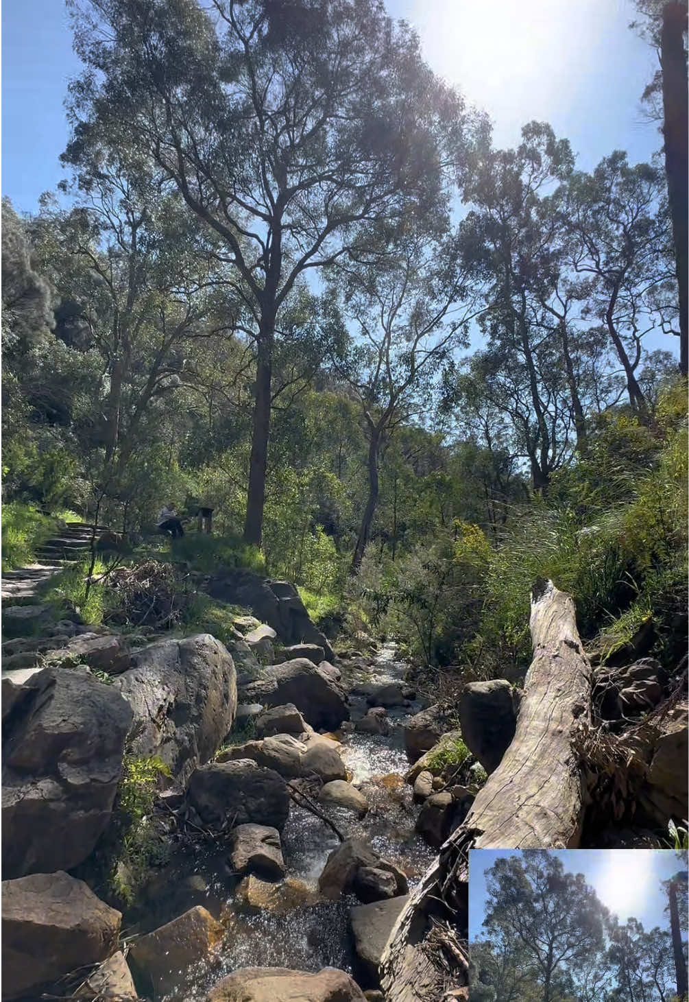 @sanjana🇦🇺