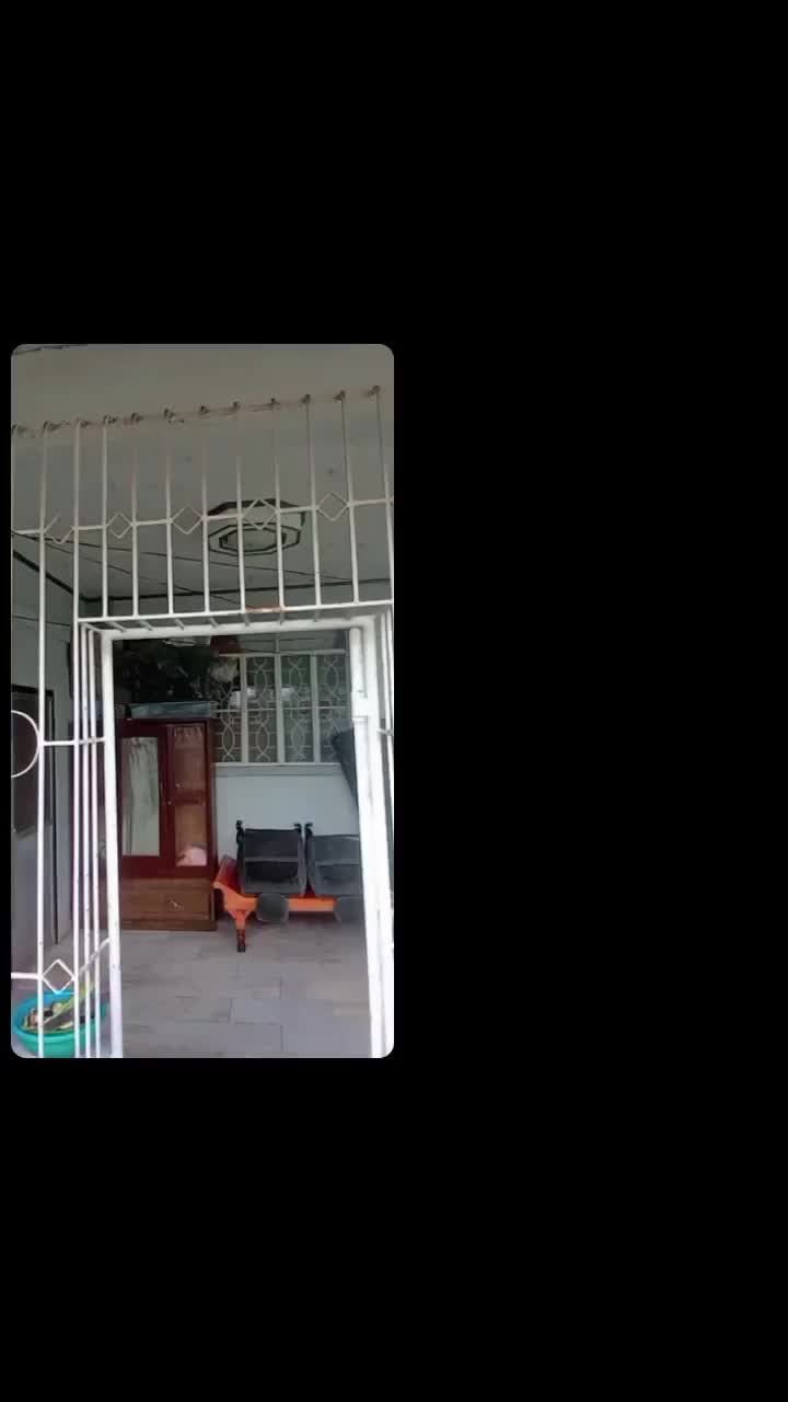 @조kaira조