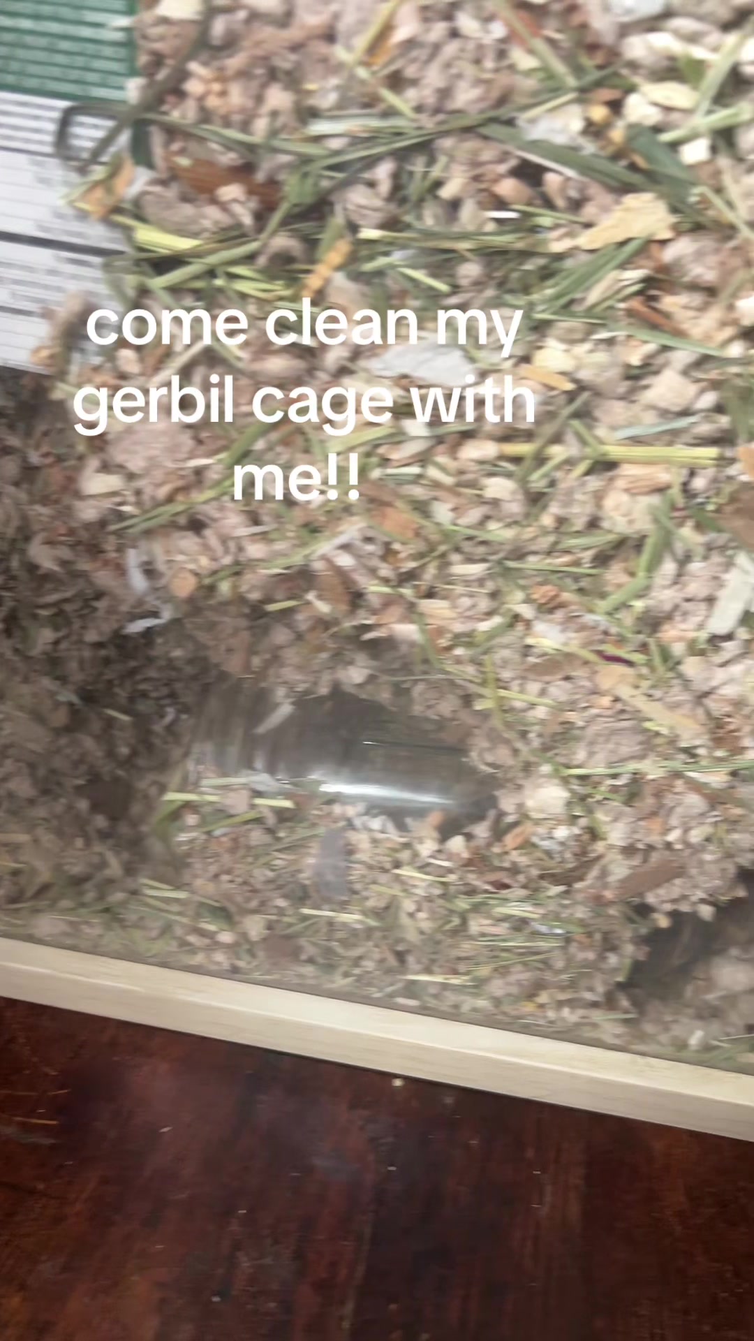 @💚