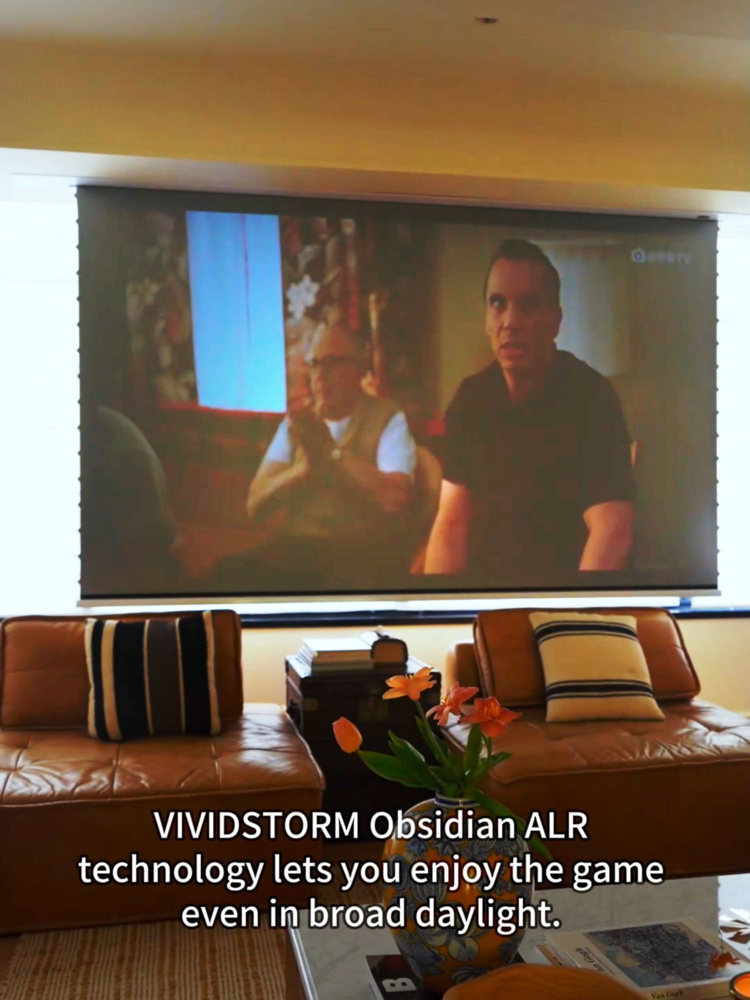@Hidden home cinema idea