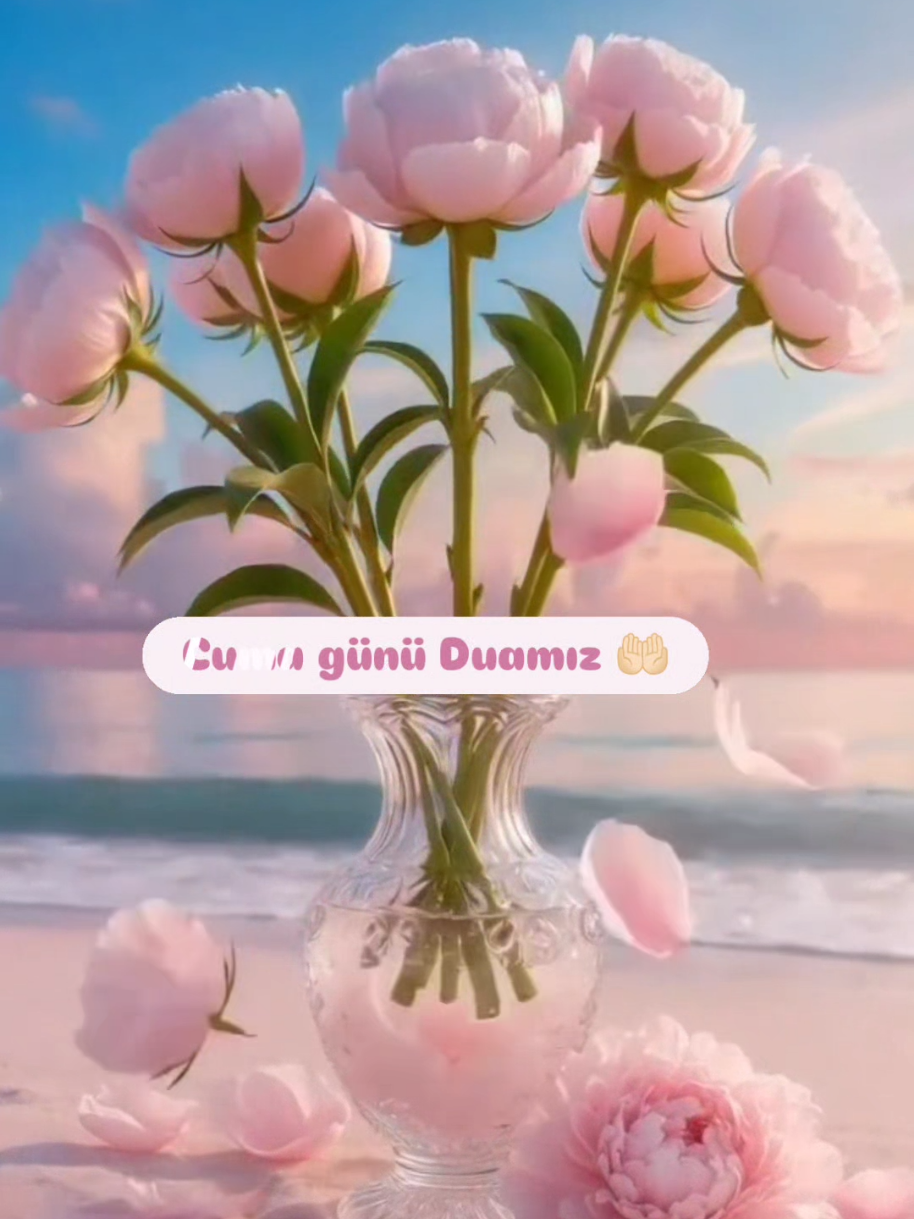 @hayat nereye gidiyor