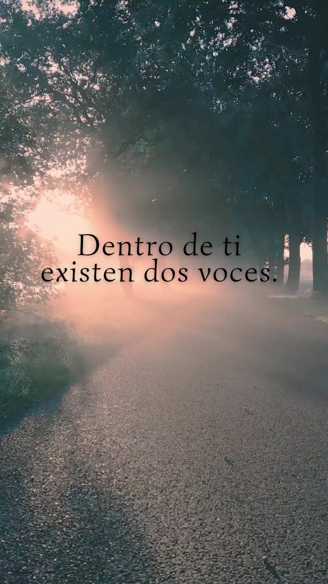 @AnaCe S Gonzales