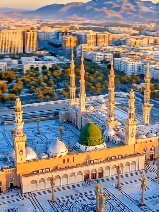@Muhammad Yameen💫🕋🤲♥️