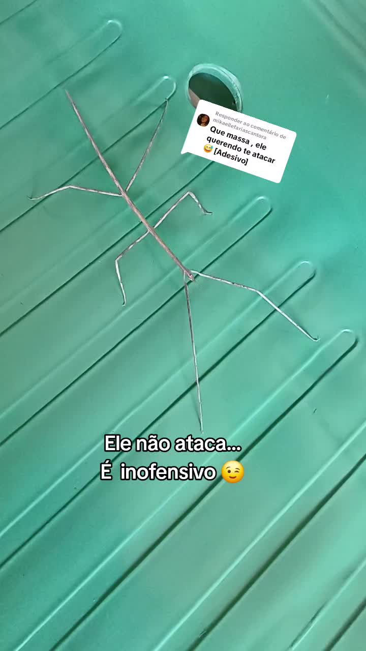@Amante da natureza