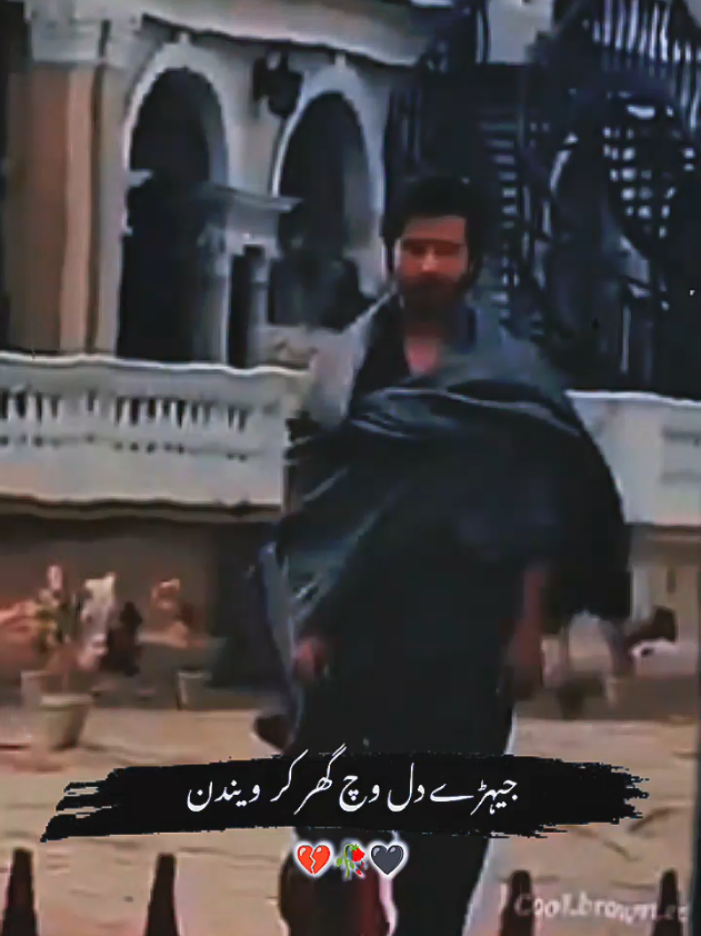@Saeed Shah ❤