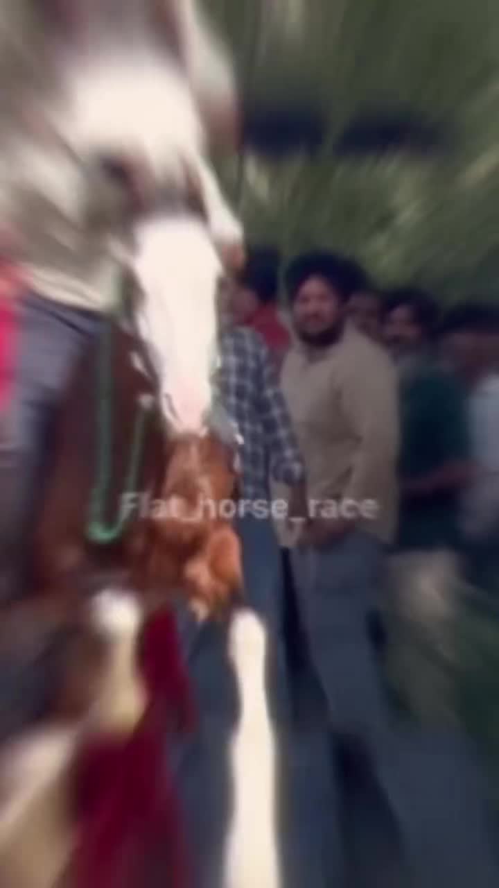 @🏇 MARWARI HORSE RACING 🏇