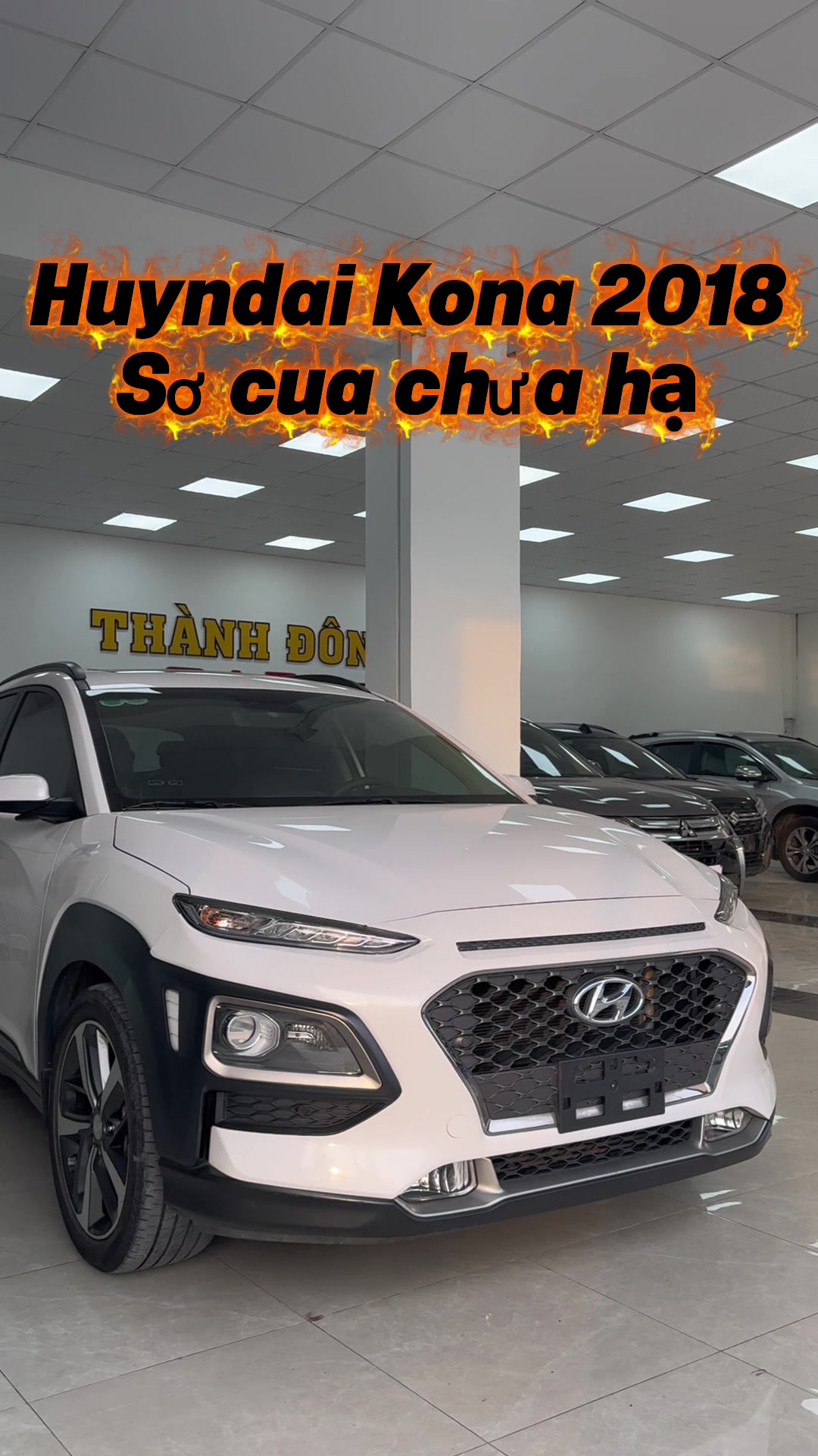 @Xế Cưng - Car World