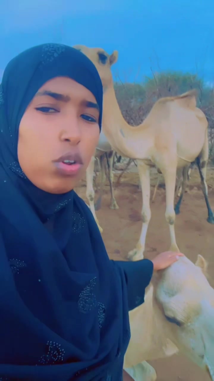 @Abwanad Heegan๐ง๐ฆ๐ธ