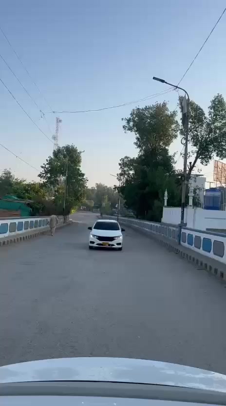 @afnan abbasi