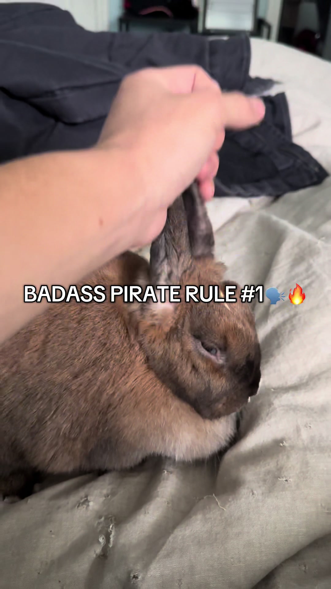@honeythebunny24