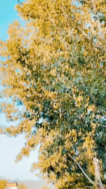 @ᴬʰᵃᵈ ᵏʰᵃⁿ ᴶᵃʰᵃⁿᵍᵉʳⁱ👑