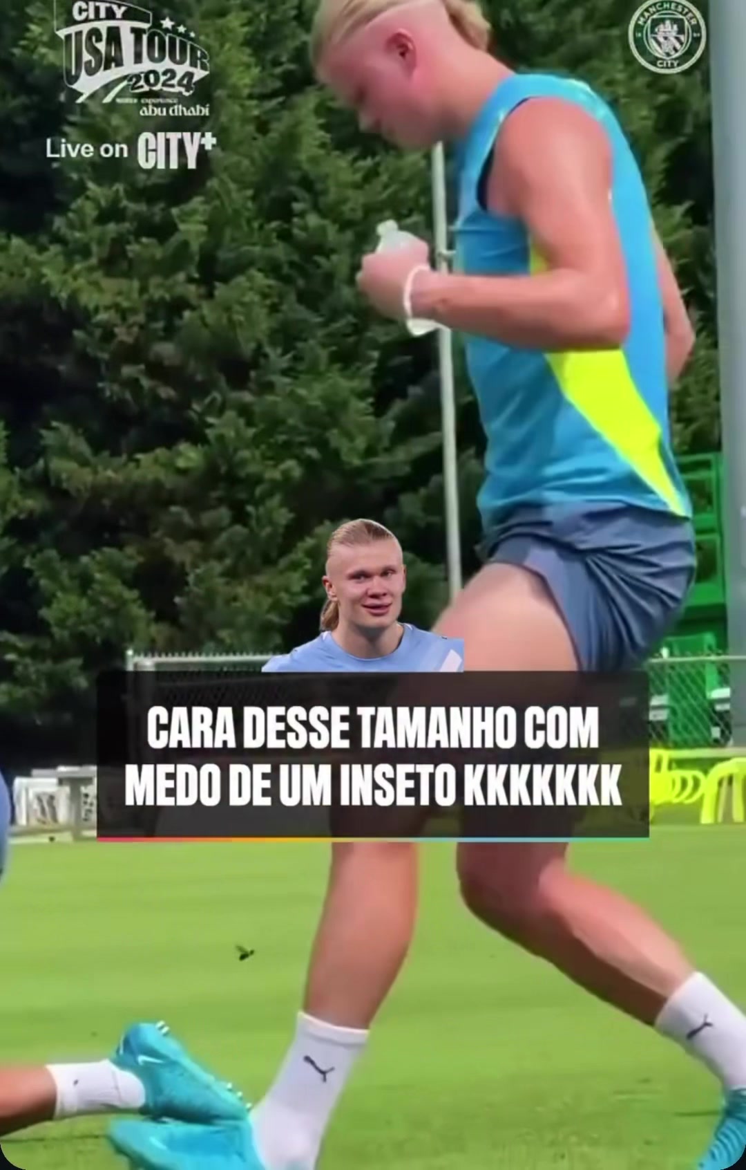 @Fã clube brasileiro Haaland