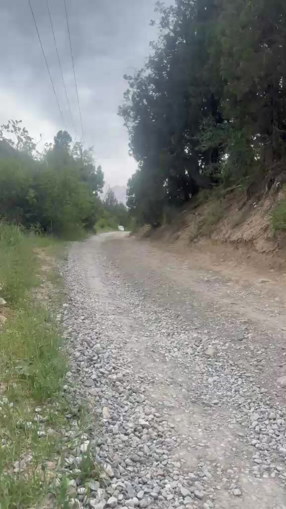 @fozilbek