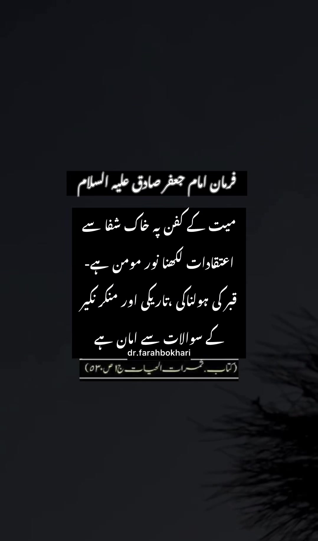 @dr.farahbokhari