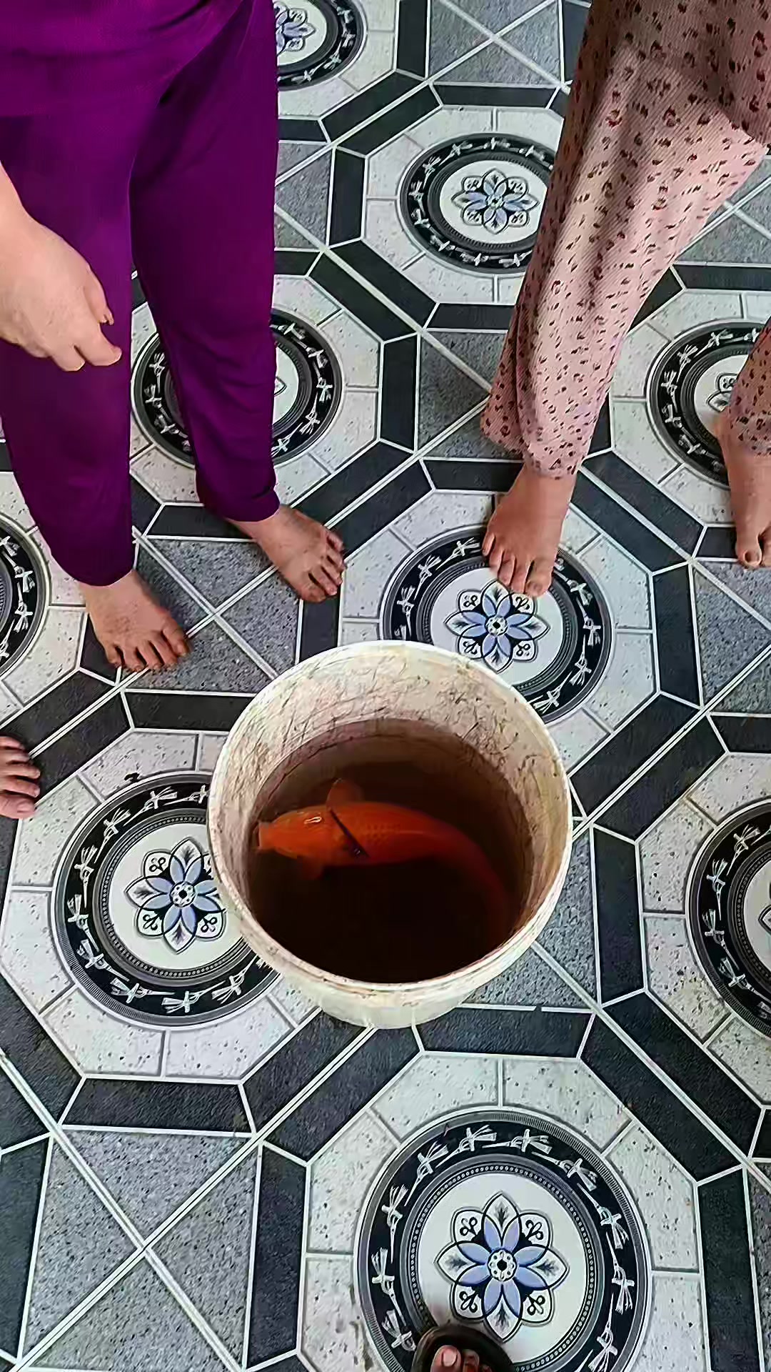 @T&acirc;n_Tẻn_Tẻn