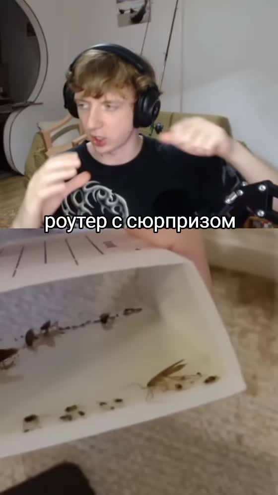 @лента REJI