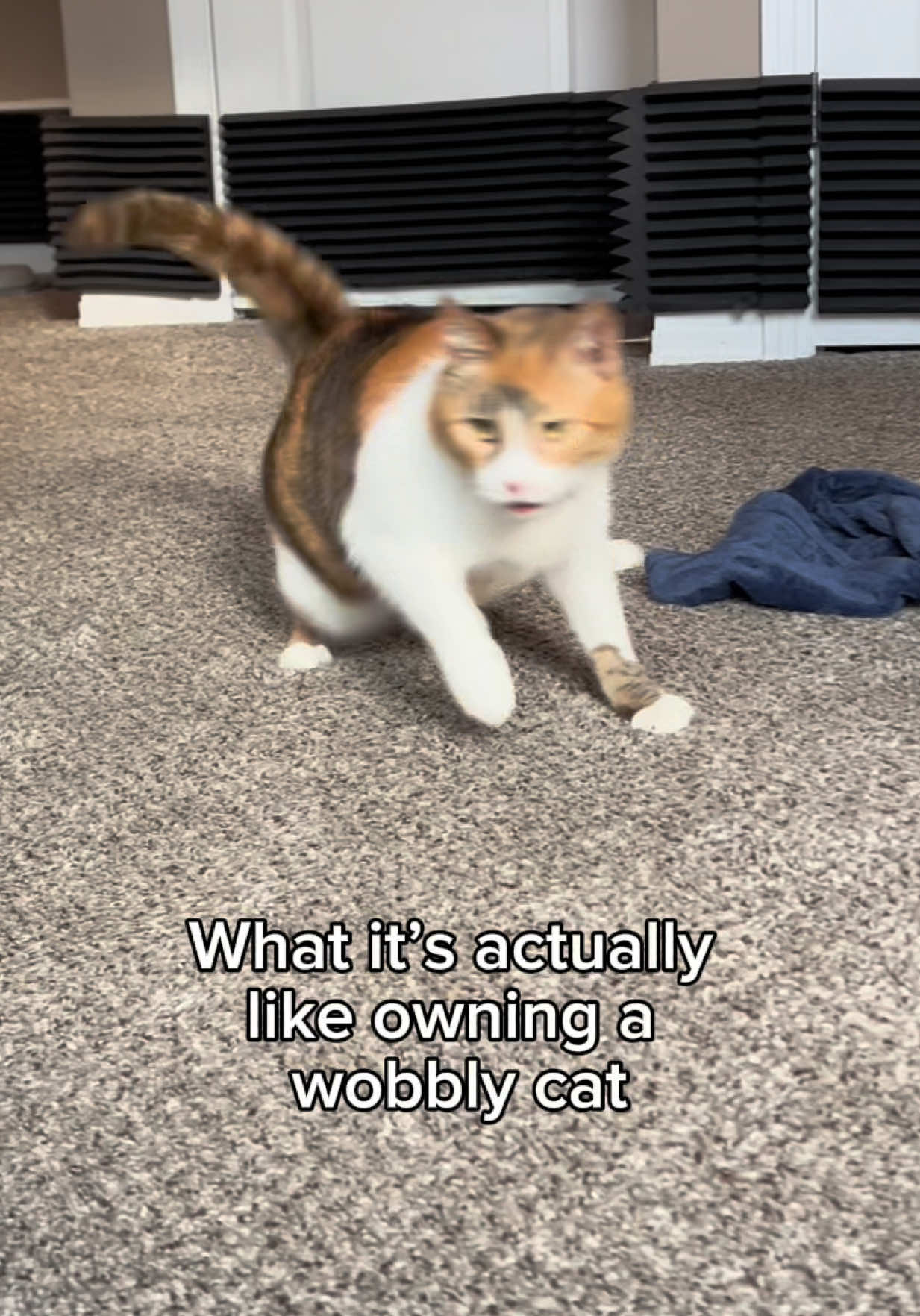 @Ada