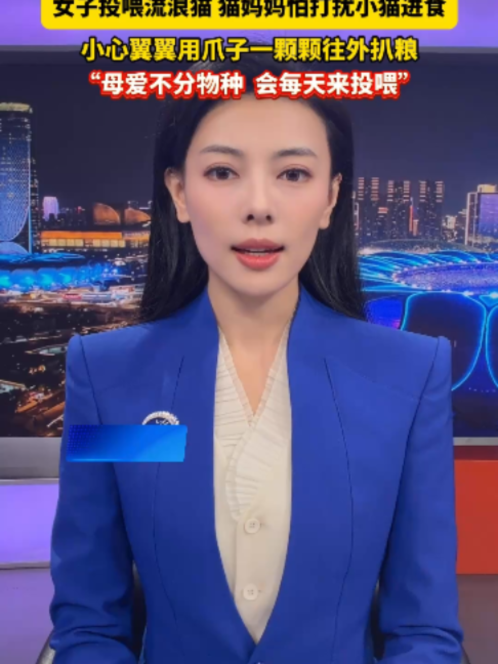 @中国蓝国际