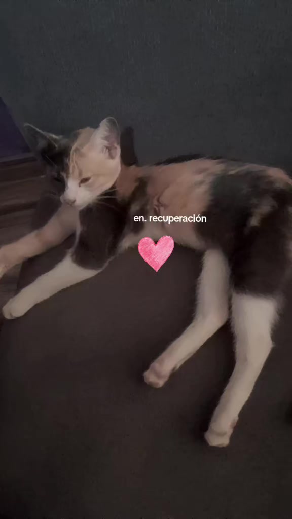 @marianita