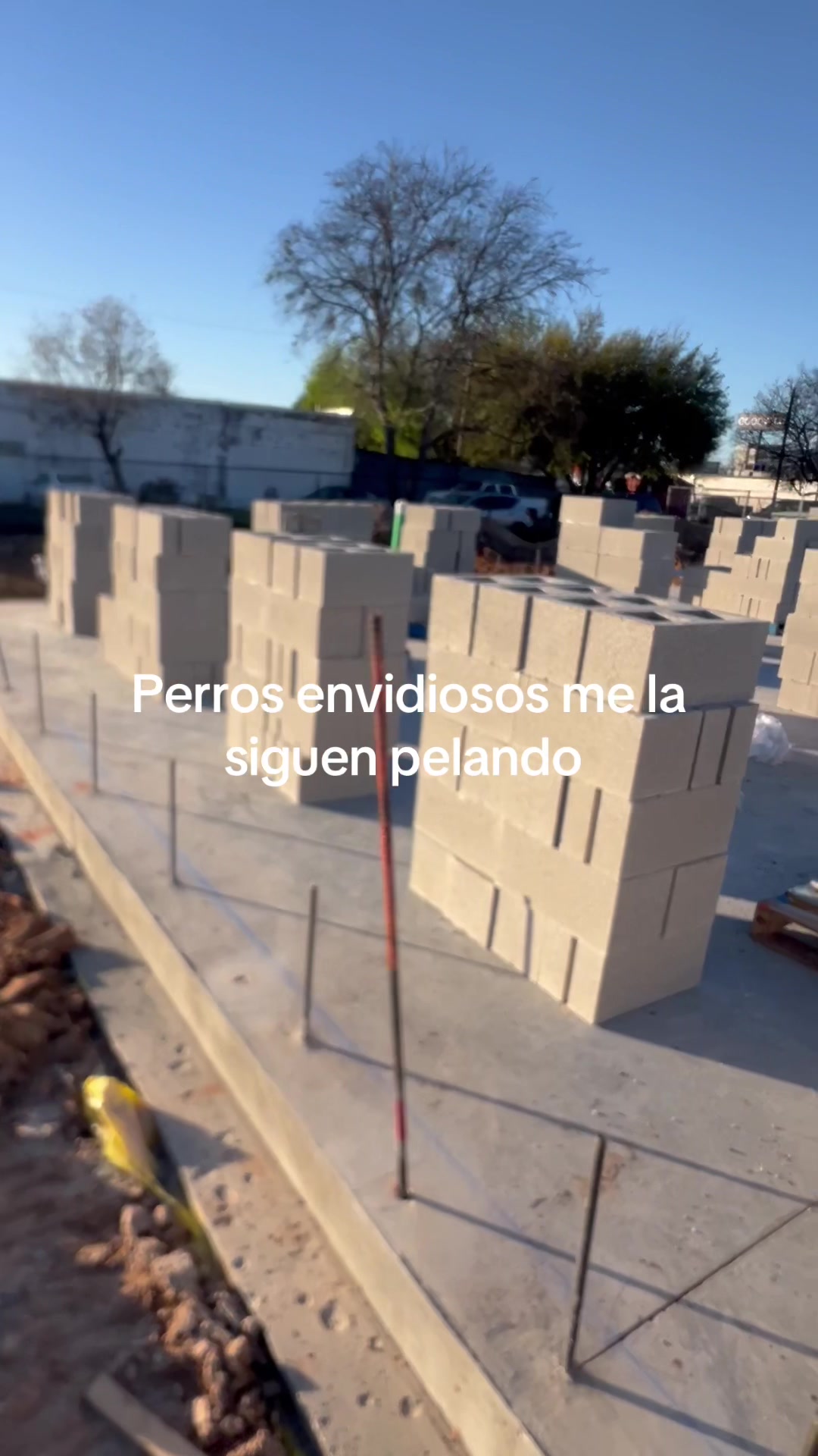 @vaquerosalvaje965
