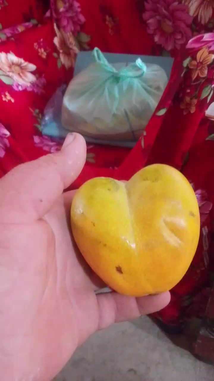 @★彡𝕊𝕒𝕝𝕞𝕒𝕟 𝔹𝕒𝕝𝕠𝕔𝕙彡★