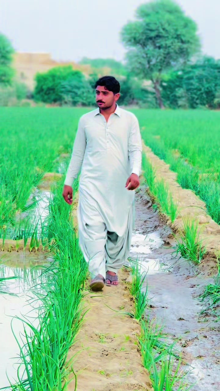 @Farooque Ahmed k