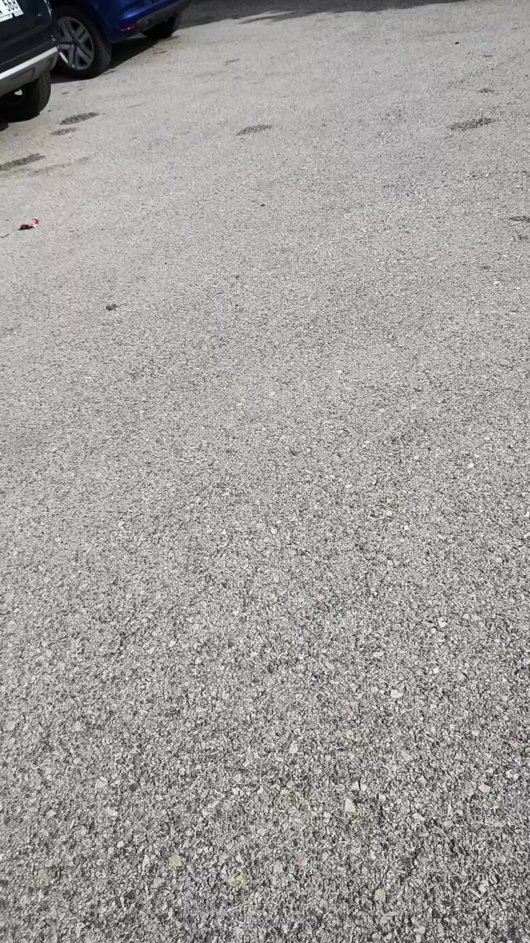 @zalimin kızı 06