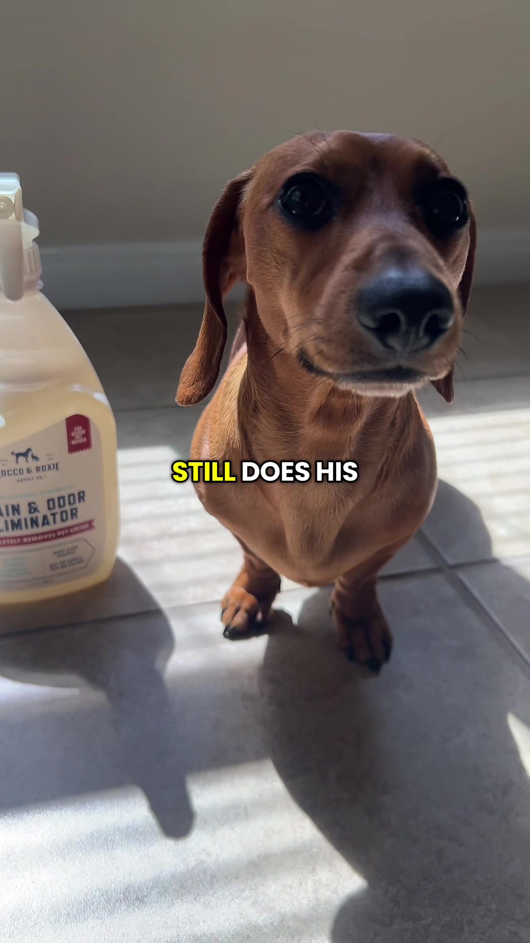 @Slinky Severus-Doo