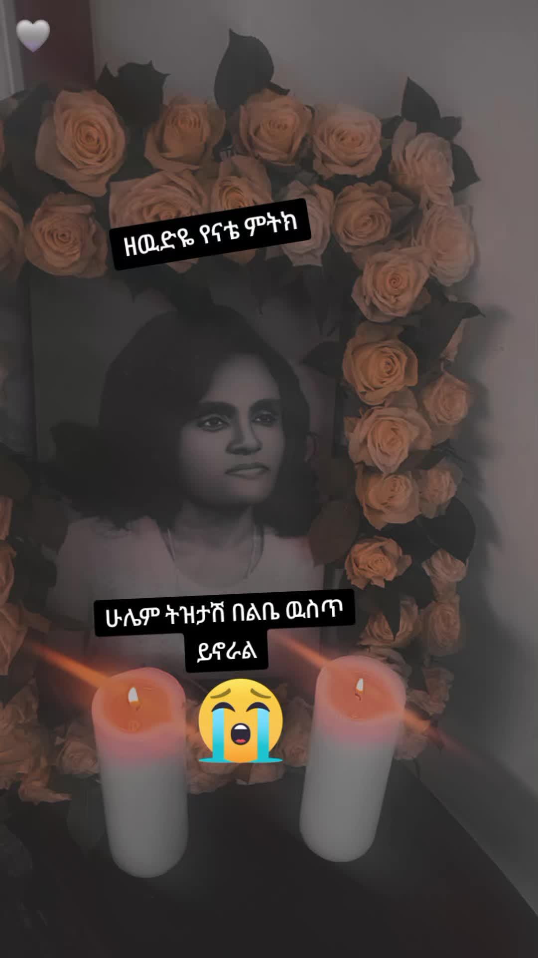 @ሳራይቱ የአብርሃም ሚስት🌸