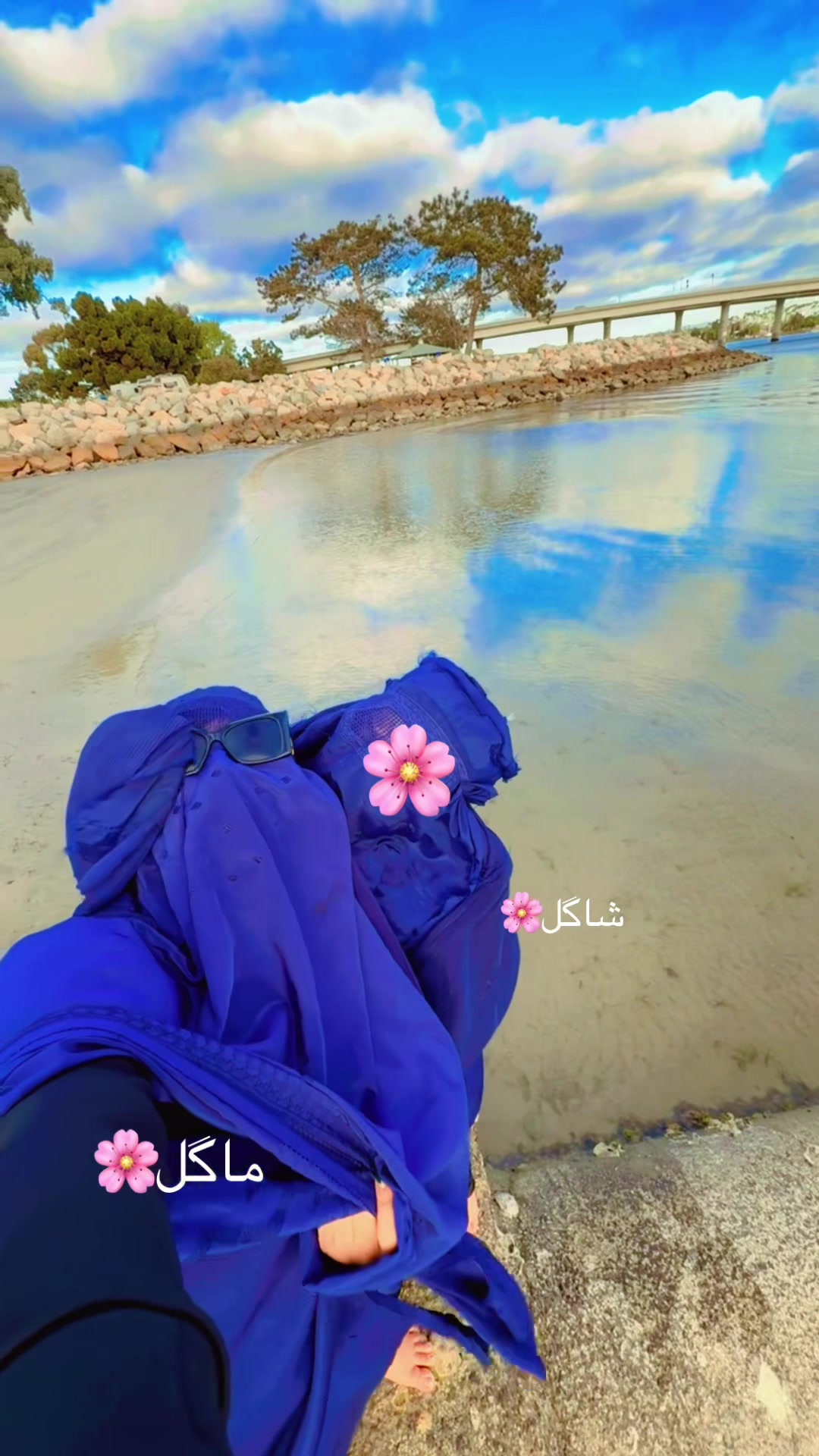 @🎀پیشوووگک🎀
