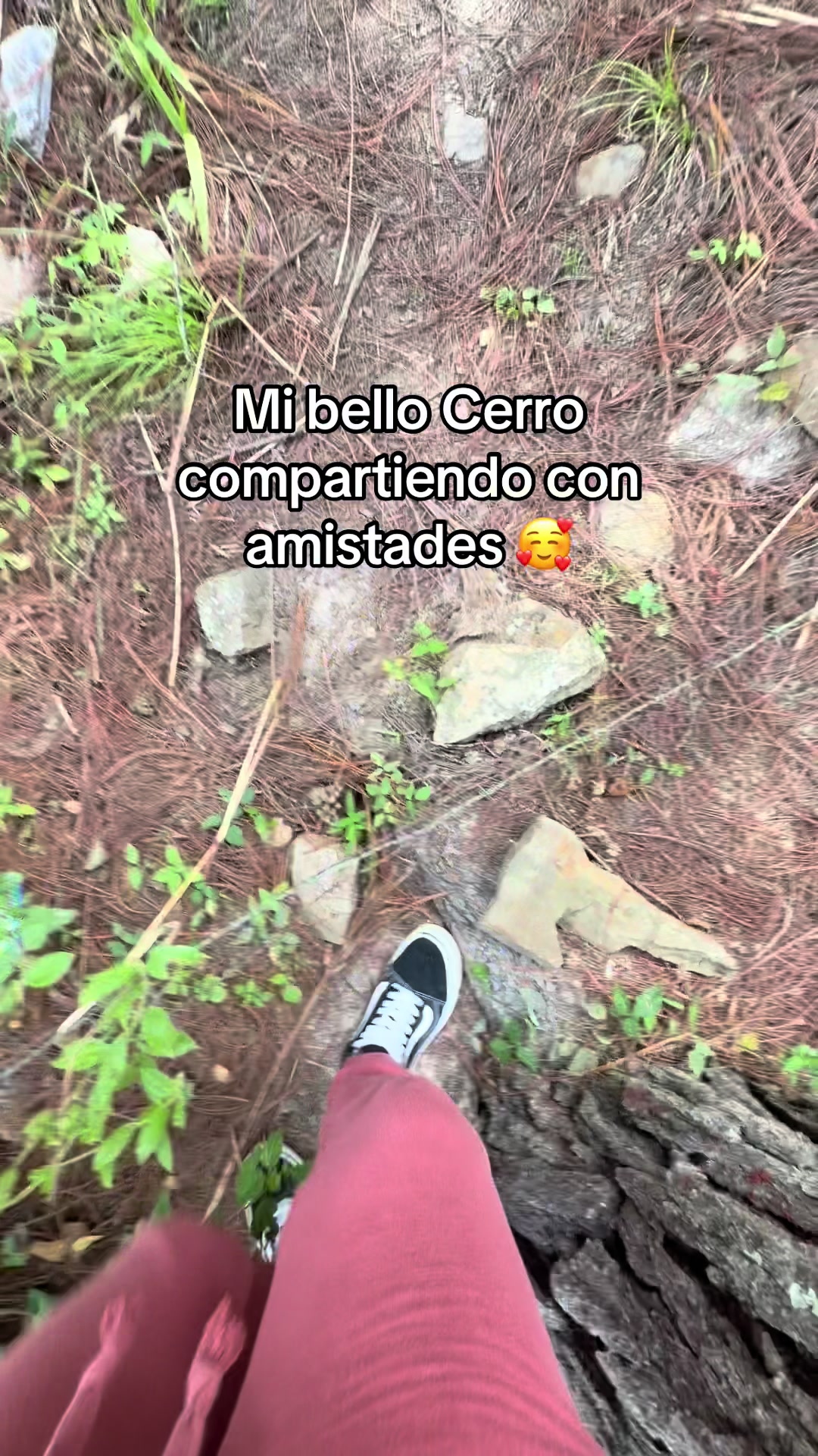 @Yosy Meza Villeda
