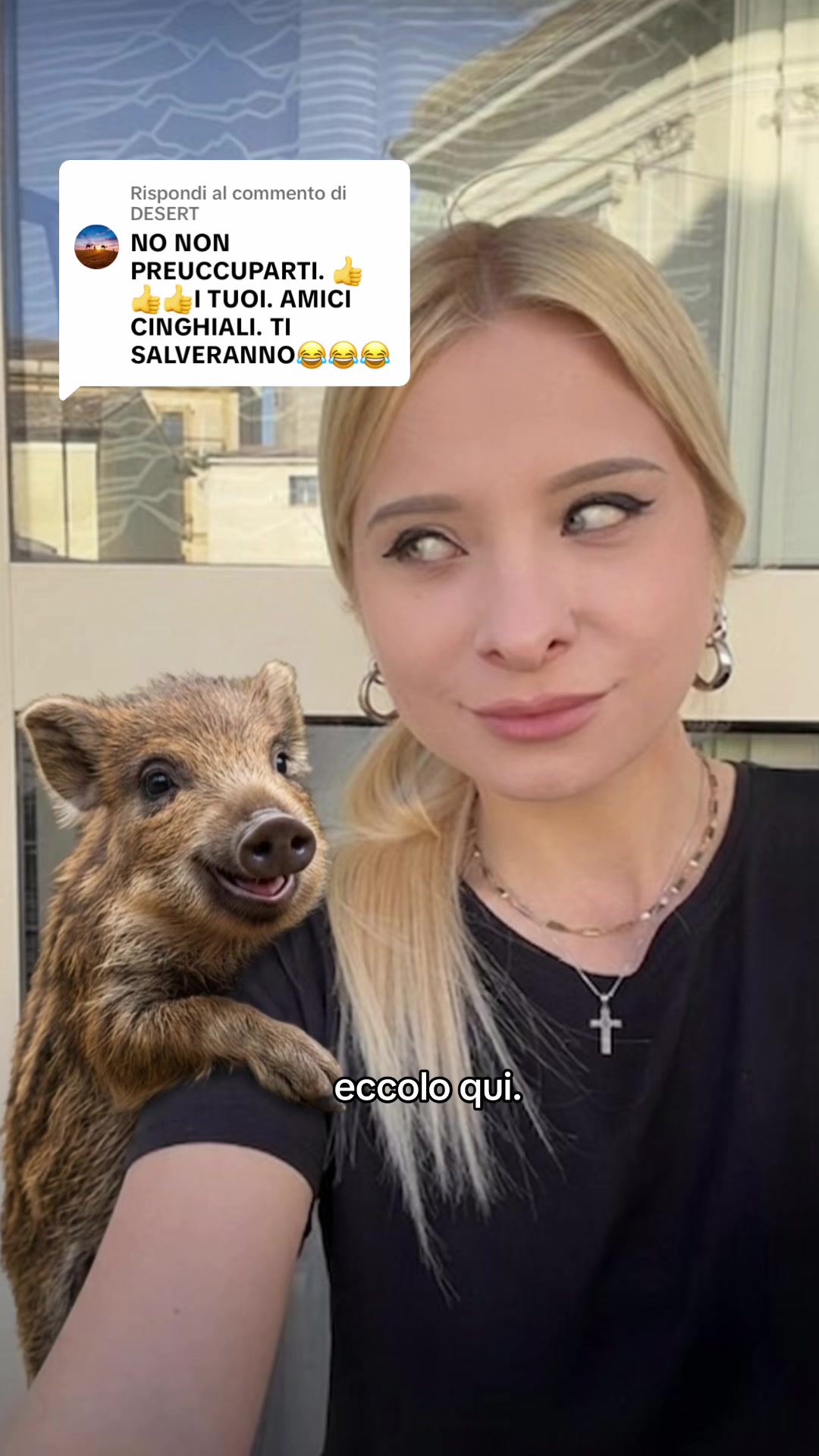 @๐ฑ๐๐๐๐ ๐ฉ๐๐