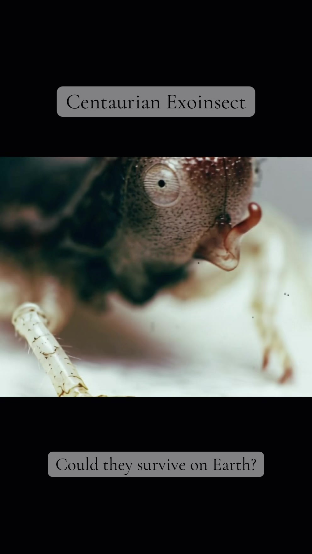 @ExoplanetWildlife