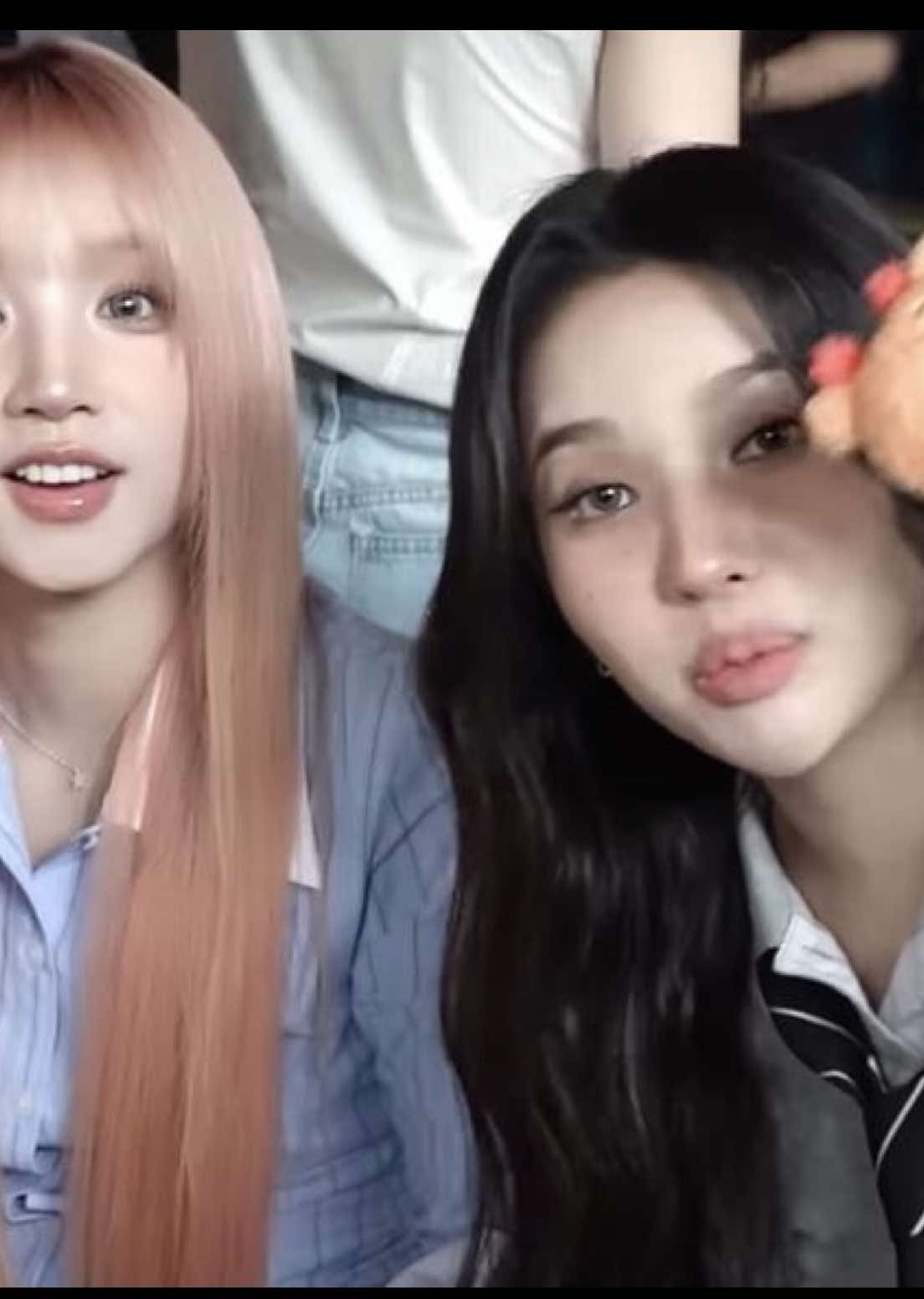 @Gigi🐶(우기’s ver.)