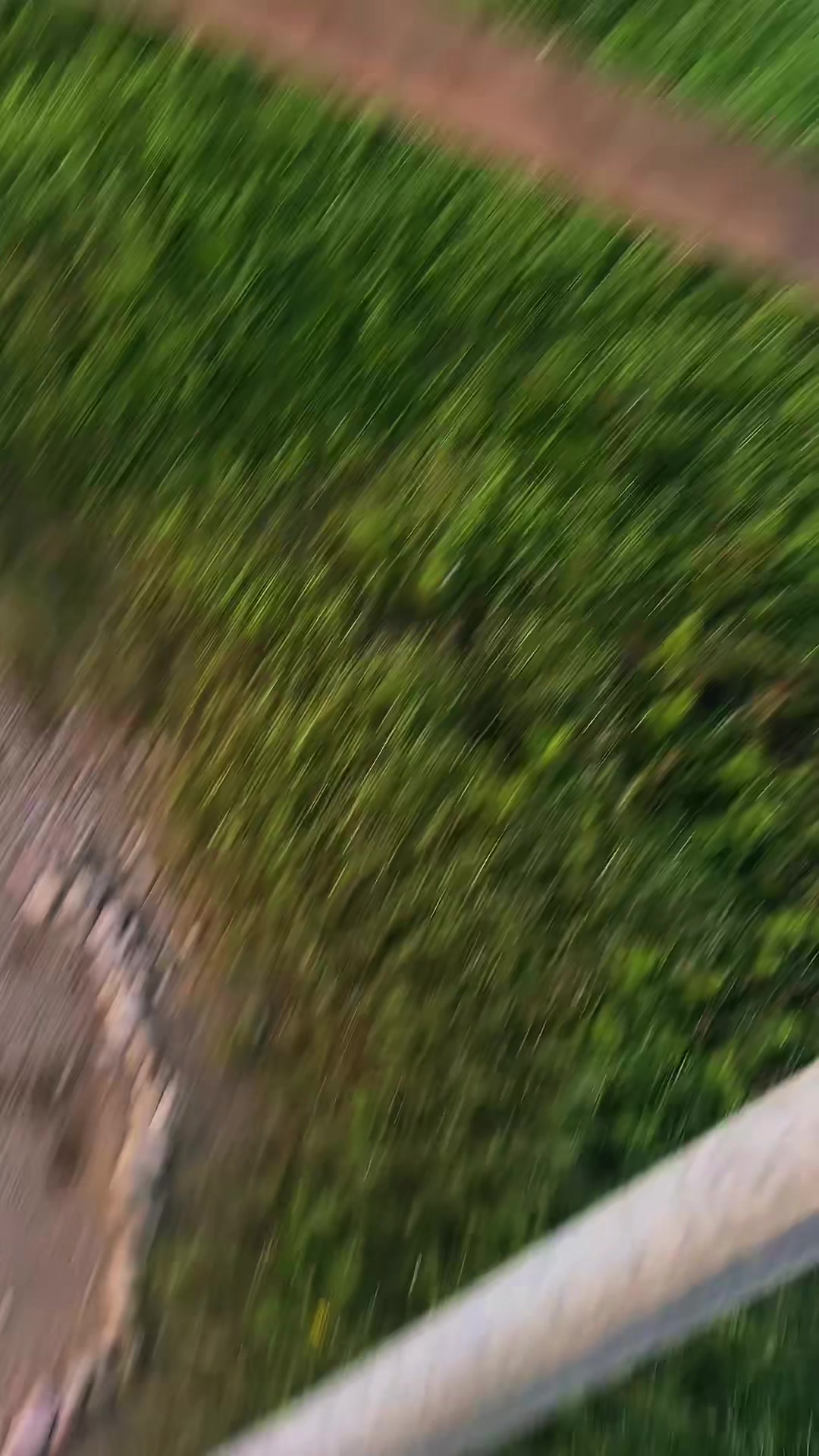 @𝕷𝖎𝖑𝖞 𝖉𝖔𝖑𝖑𝖘 ✦