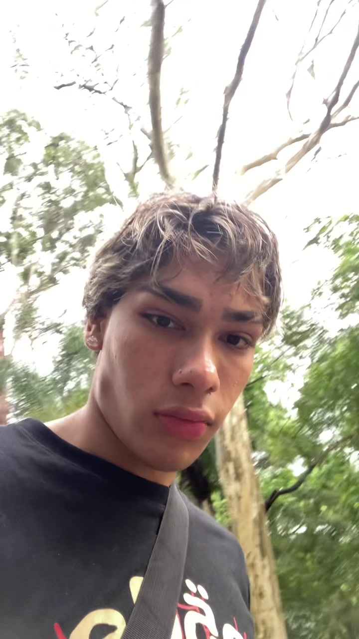 @vieira fr