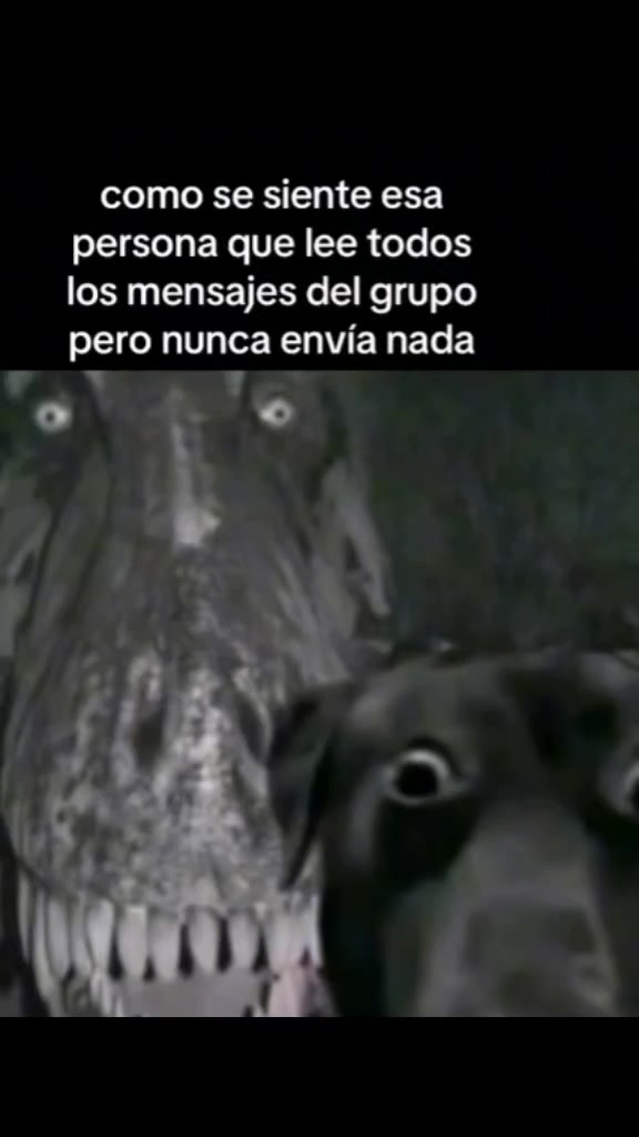 @🐾 yºchºrt🐾